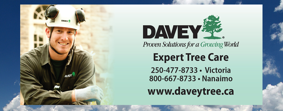 Service Billboard Advertiser